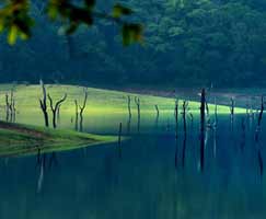 Idukki Package Tour