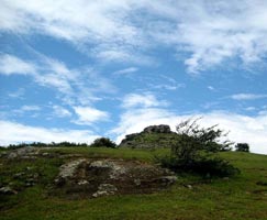 Idukki Holiday